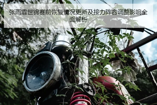 张雨霏世锦赛前恢复情况更新及接力阵容调整影响全面解析